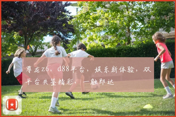 尊龙z6，d88平台，娱乐新体验，双平台共鉴精彩，一触即达