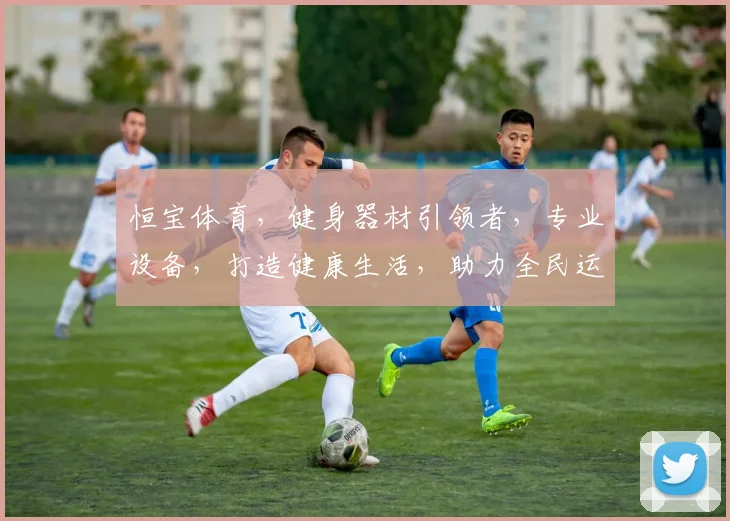 恒宝体育，健身器材引领者，专业设备，打造健康生活，助力全民运动